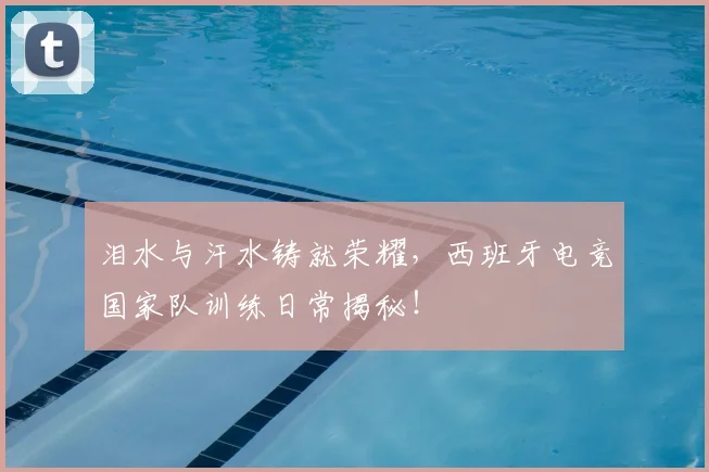 泪水与汗水铸就荣耀,西班牙电竞国家队训练日常揭秘!