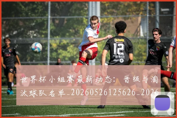 世界杯小组赛最新动态:晋级与淘汰球队名单_20260526125626_20260702173822