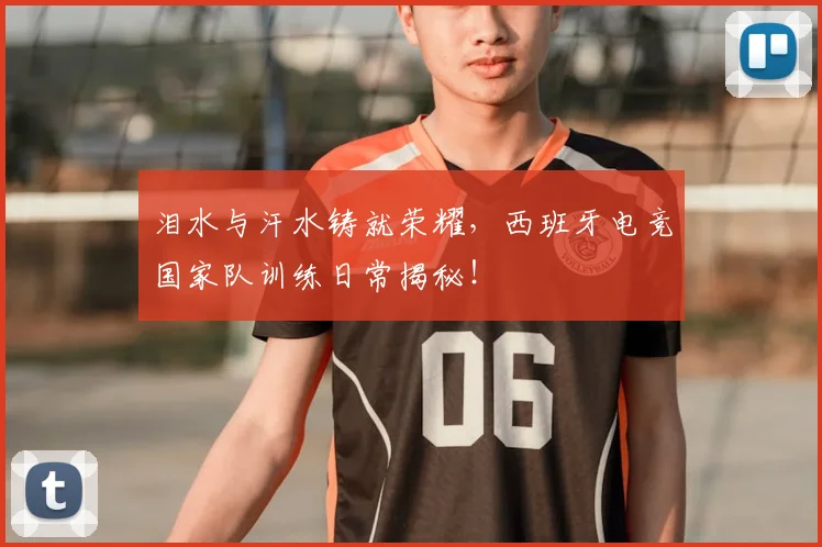 泪水与汗水铸就荣耀,西班牙电竞国家队训练日常揭秘!